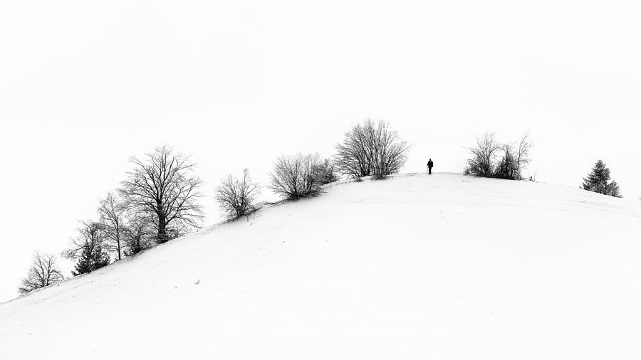 Winter Photograph by Marius Cintez?