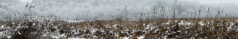 Winter Marsh Panorama Photograph by Terry Schmidbauer