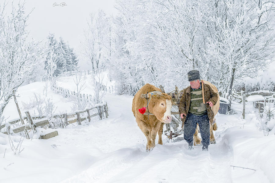 PHOTO: A winter remembrance