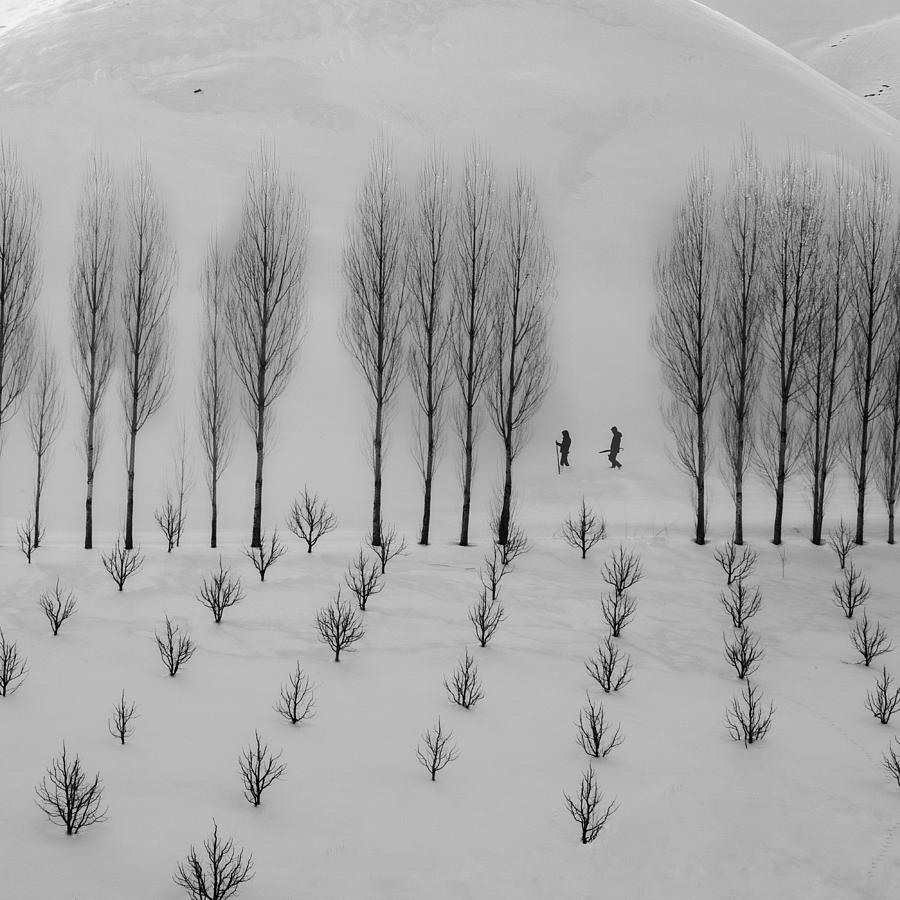 Winter Photograph by Mohammad Alipour