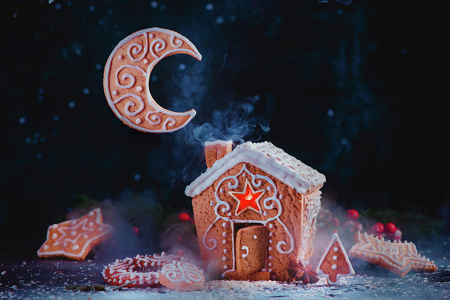 Christmas Photograph - Winter Moon by Dina Belenko