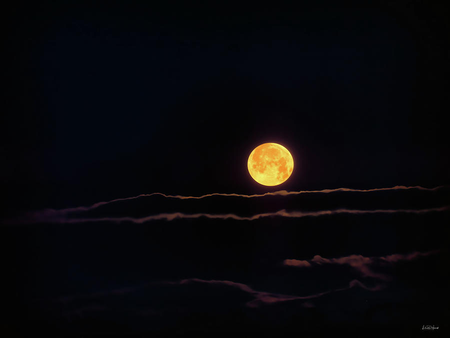 Nature Photograph - Winter Moon by Leland D Howard