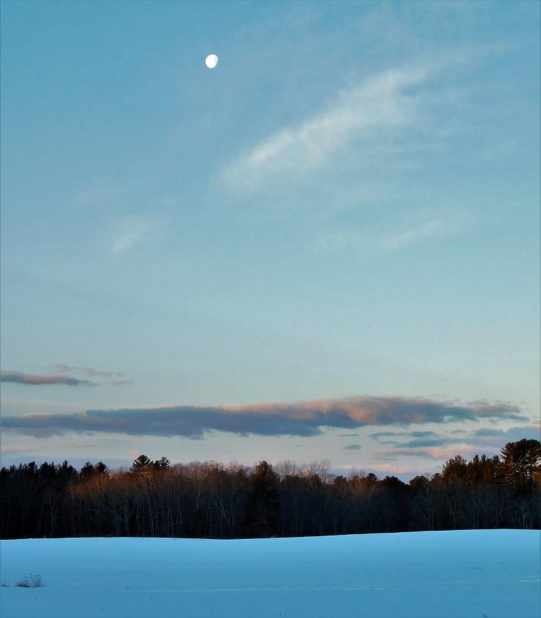 - Winter Moon Photograph by THERESA Nye