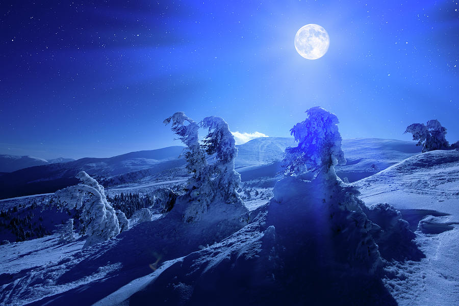Winter Moon Photograph by Yourapechkin