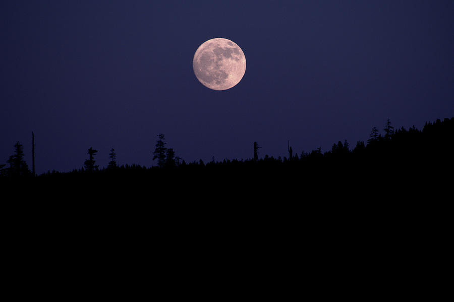 Winter Moonrise Photograph by Debra Herman