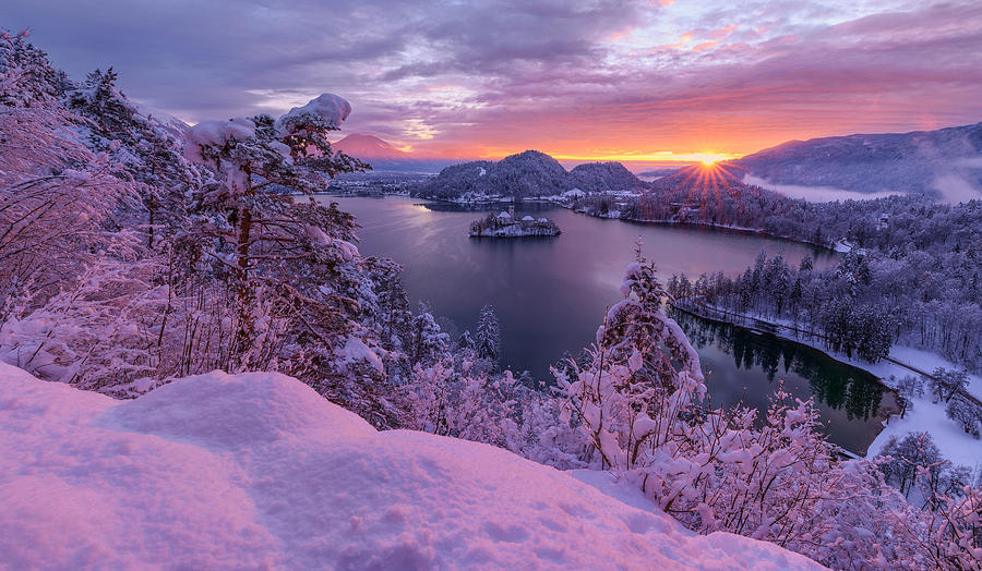 Winter Morning At Lake Bled Photograph by Ales Krivec