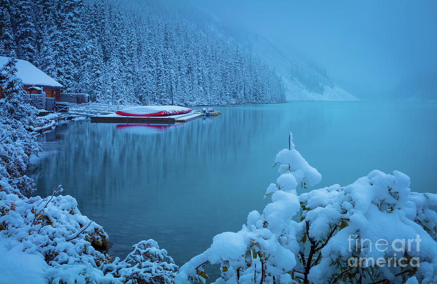 Winter Morning at Lake Louise Photograph by Inge Johnsson