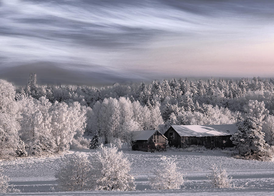 Winter Photograph - Winter Morning by Bjorn Emanuelson