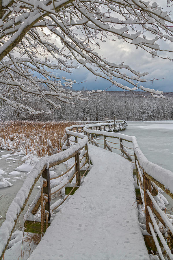 Winter Morning Boardwalk Photograph by Angelo Marcialis