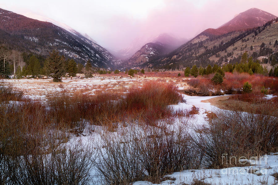 Winter Morning in Rocky Mountain National Park Photograph by Ronda Kimbrow