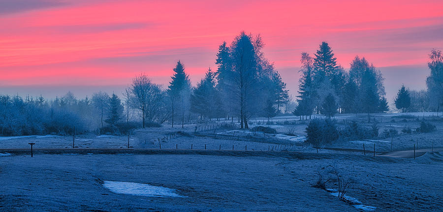 Landscape Photograph - Winter Morning Light by Slawomir Kowalczyk