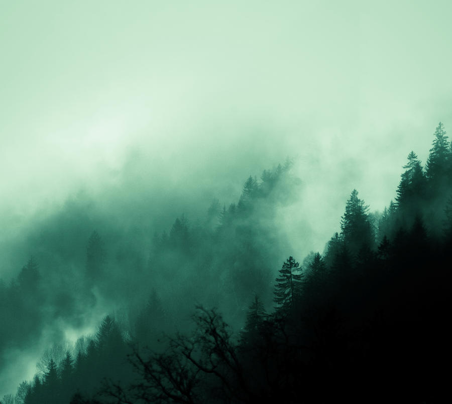 Mountain Photograph - Winter Mountain Mist by Wall Art Prints