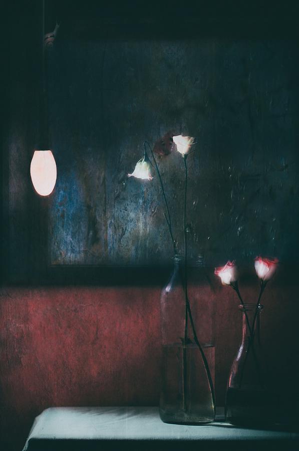 Still Life Photograph - Winter Night And I Think About Spring... by Delphine Devos
