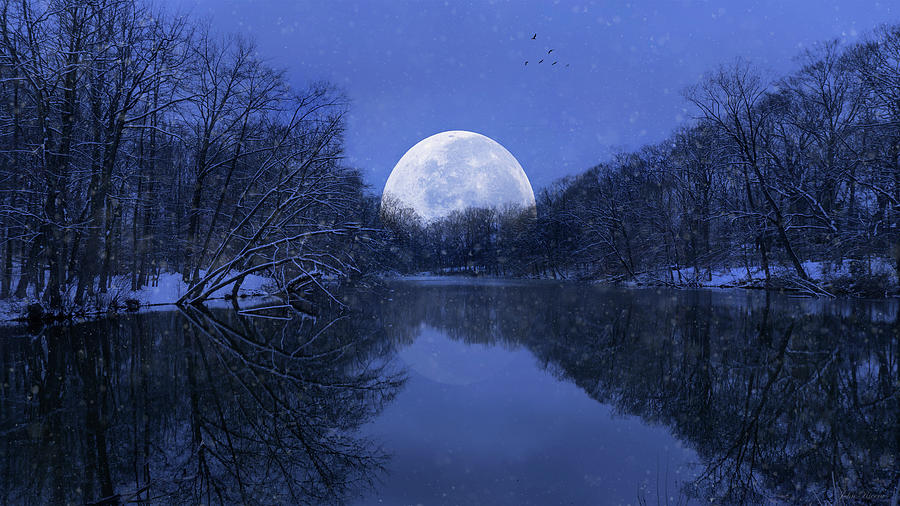 Winter Night on the Pond Photograph by John Rivera