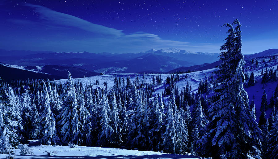 Winter Night Photograph by Yourapechkin