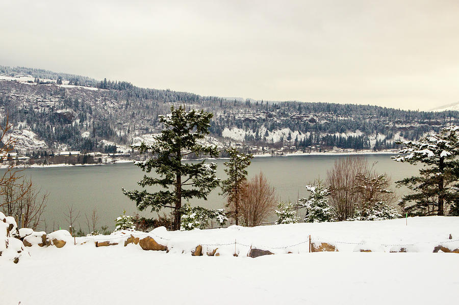 Winter on Columbia River Photograph by Aashish Vaidya