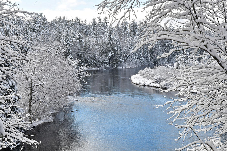 Winter Photograph - Winter on the AuSable 1058 by Michael Peychich