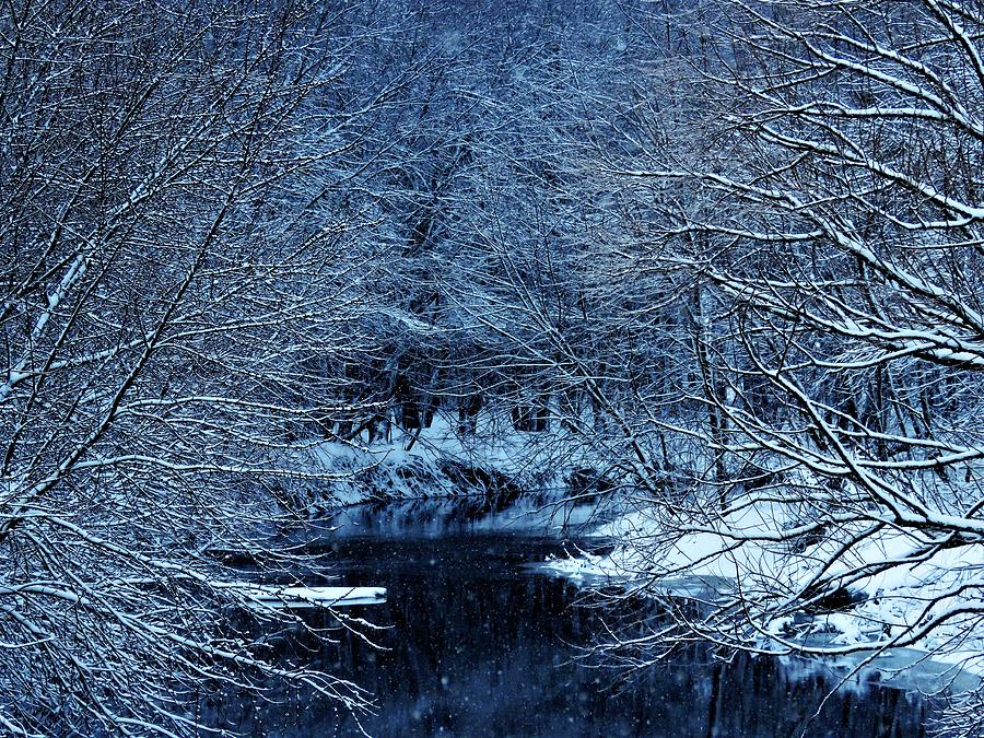 Winter on the Creek  Photograph by Lori Frisch