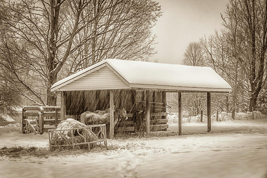 Winter on the Farm Photograph by Eleanor Bortnick