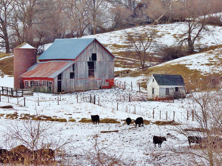 Winter on the Farm  Photograph by Lori Frisch