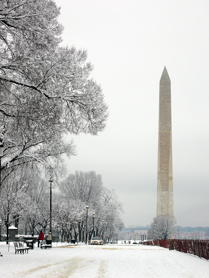 Winter On The National Mall Photograph by Roc8jas