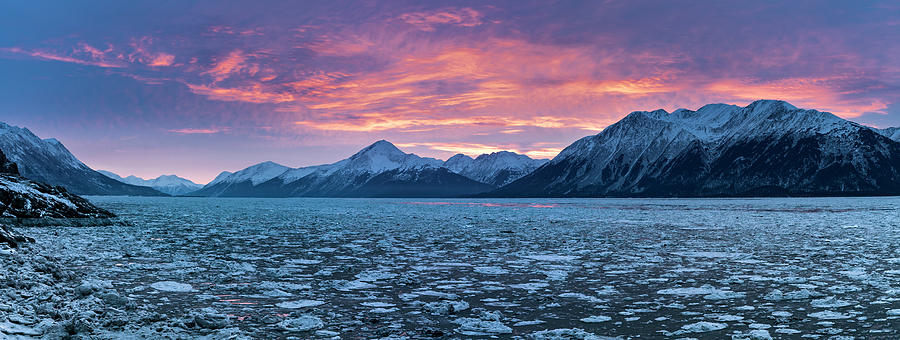 Winter on the Turnagain Arm Photograph by Scott Slone