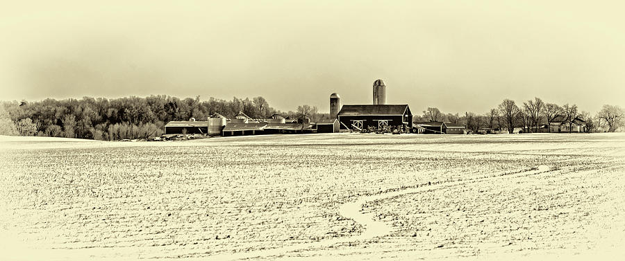 Winter Ontario Farm 3 - Sepia Photograph