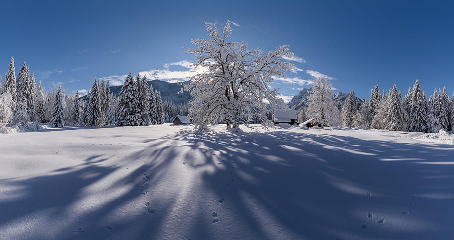 Winter Paradise Photograph by Ales Krivec