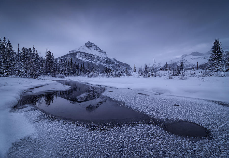 Winter Paradise Photograph by Donald Luo