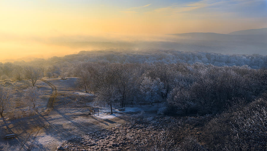 Winter Paradise Photograph by Peter Krenek