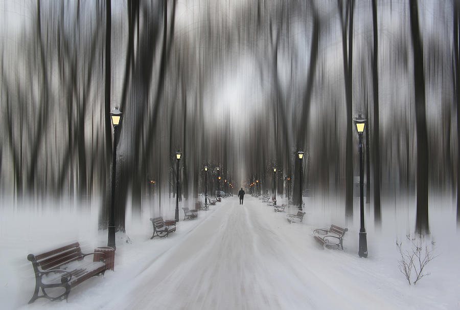 Winter Photograph - Winter Park by Alexander Kiyashko