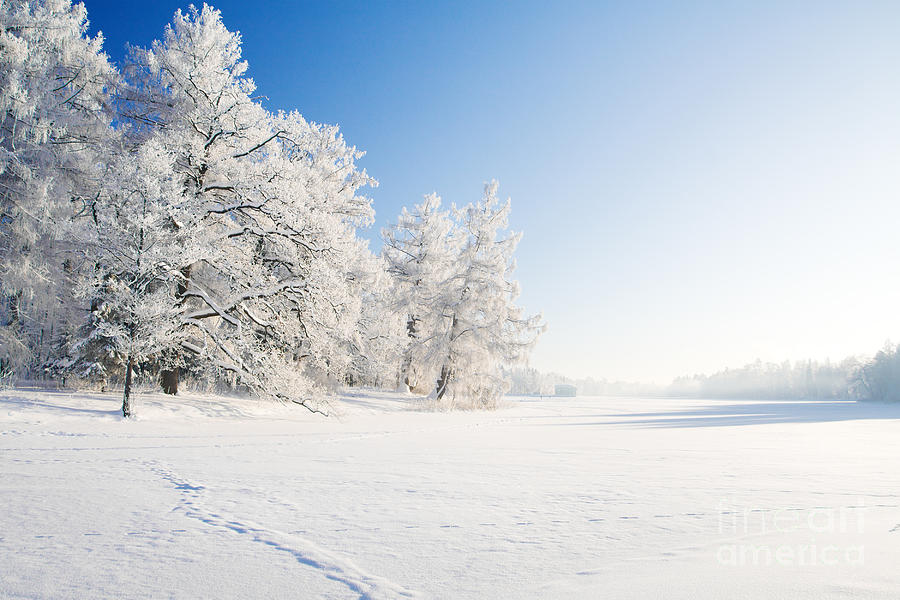 Country Photograph - Winter Park In Snow by Ozerov Alexander Country Photograph - Winter Park In Snow by Ozerov Alexander