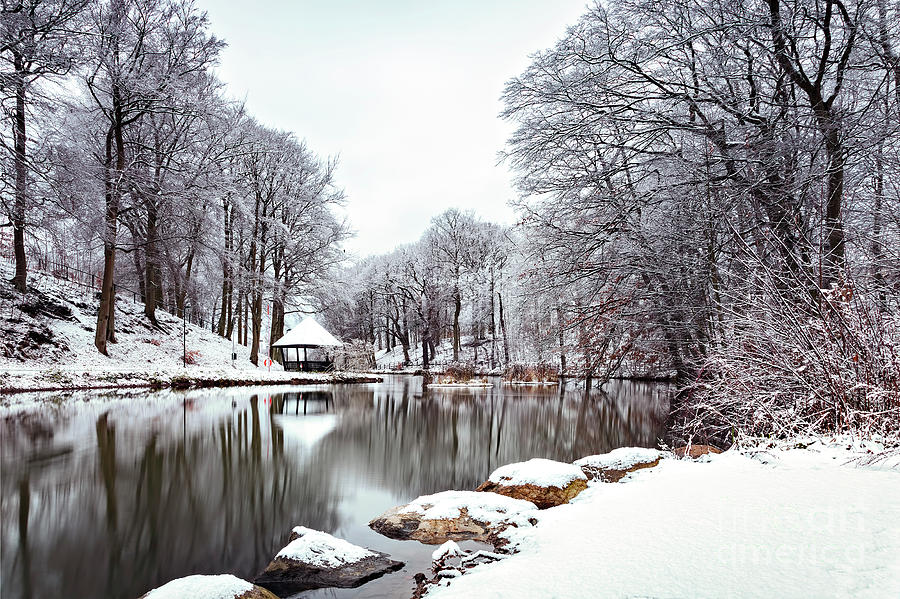 Winter park landscape Photograph by Sophie McAulay