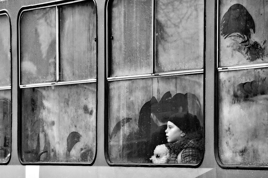 Winter Passengers.the Two Of Us Photograph by Nicoleta Gabor