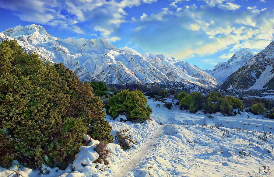 Winter Path Morning by Anthony Dezenzio Winter Path Morning by Anthony Dezenzio