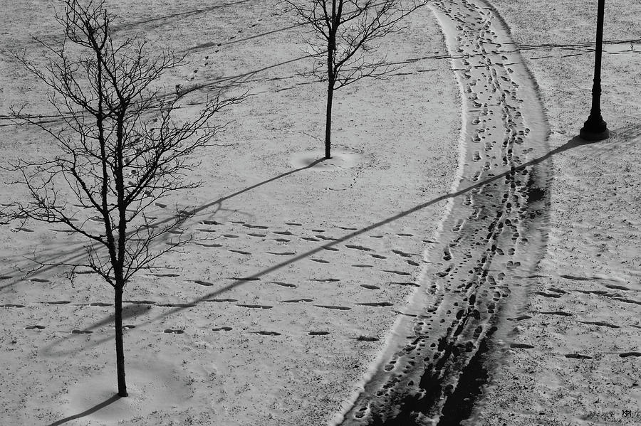 Winter Pathways Photograph by John Meader