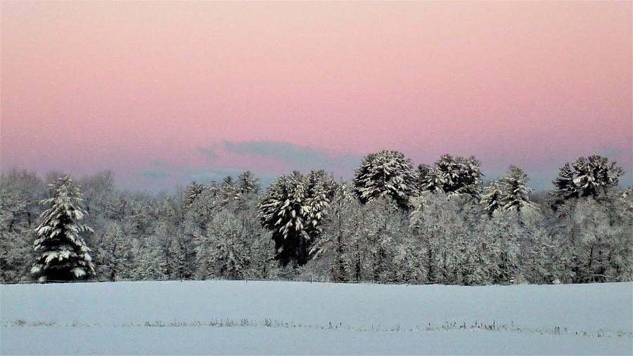 - Winter Pink Sunrise Photograph by THERESA Nye