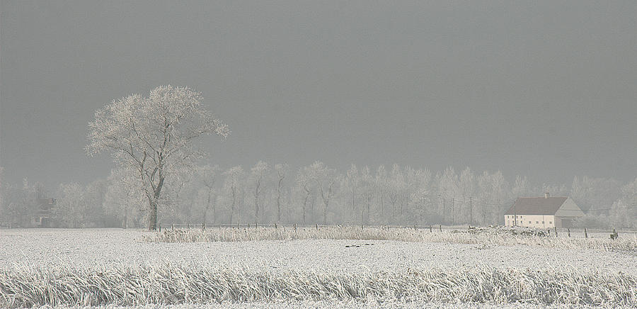Winter Polderland... Winter Wonderland (2) Photograph by Yvette Depaepe