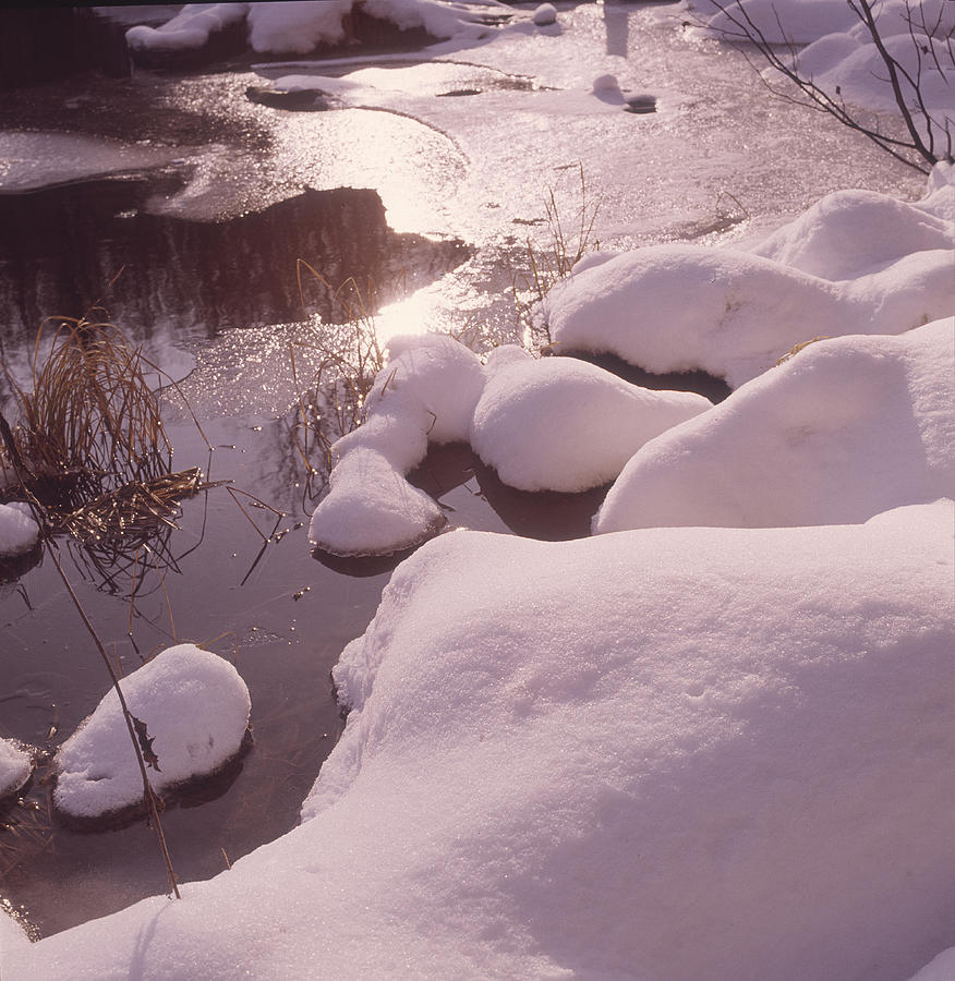 Winter Pond Photograph by Robert Natkin
