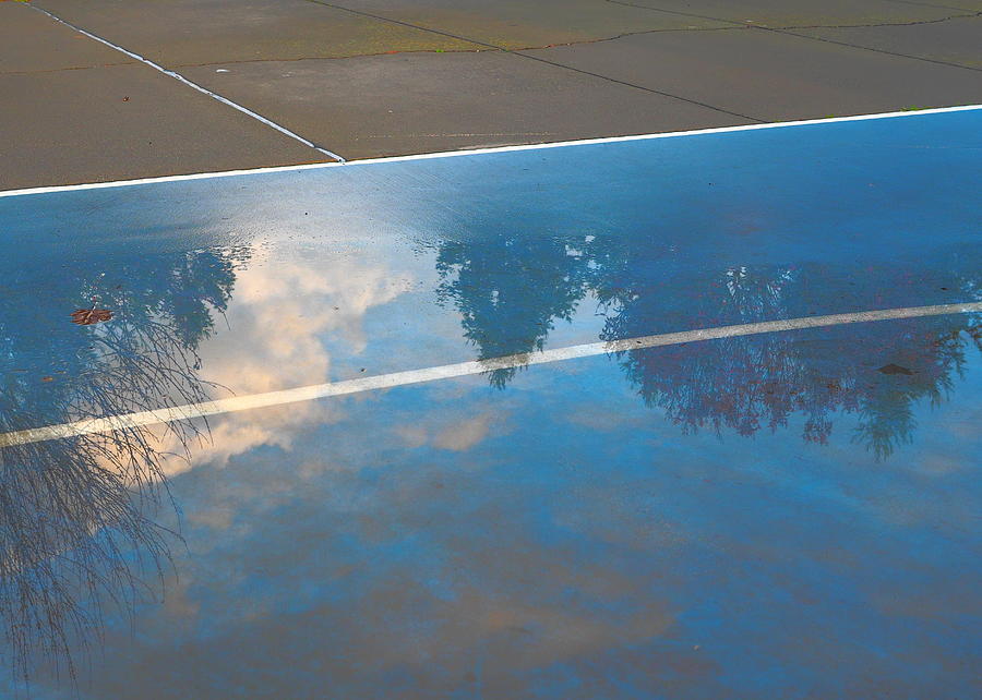Winter Pool Reflection Photograph by Richard Thomas