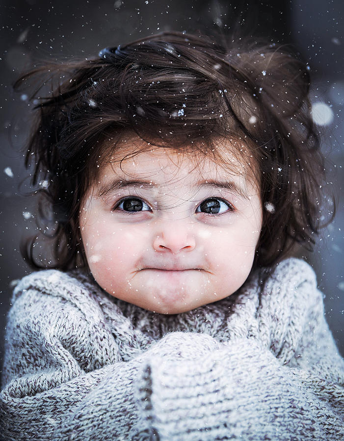 Nature Photograph - Winter Portrait by Bess Hamiti