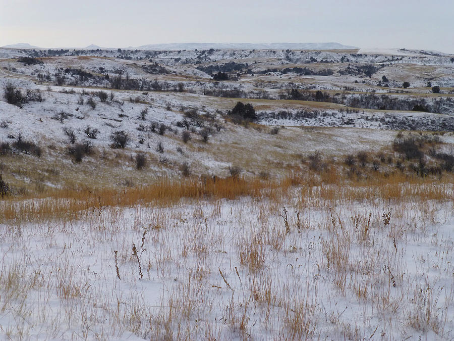 Winter Prairie Photograph by Cris Fulton