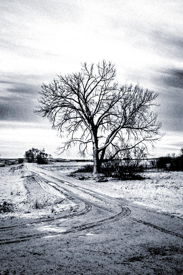 Winter Prairie Road Photograph by Steve Lucas