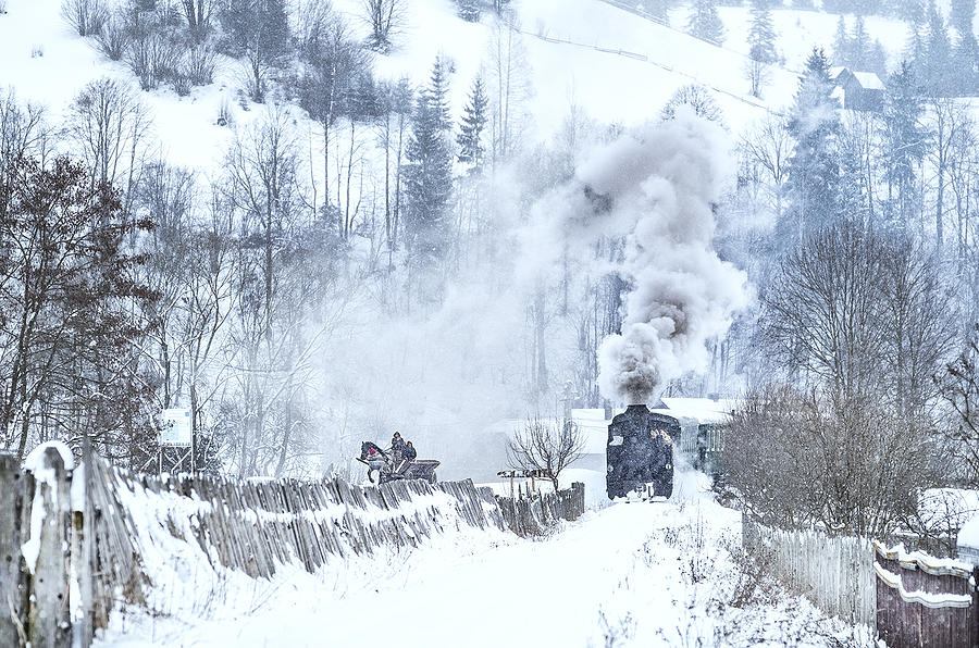 Winter Race Photograph by Caesargabriel