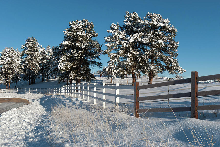 Winter Ranch Landscape in the Colorado Foothills Photograph by Cascade Colors