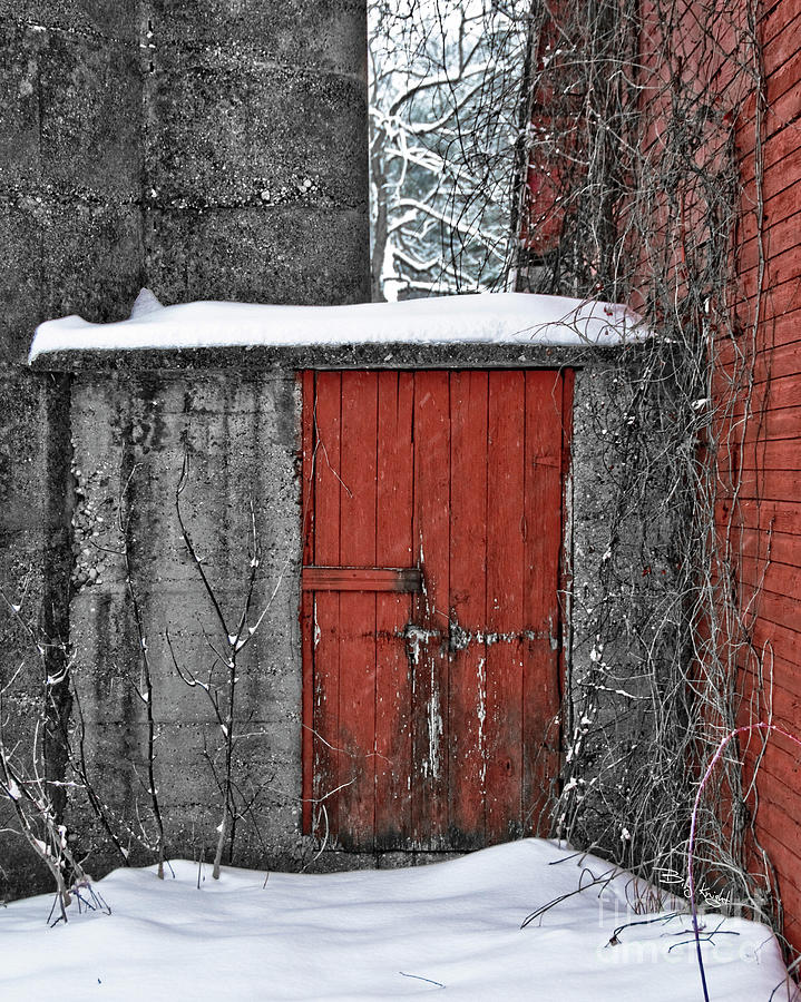 Winter Red Door Photograph by Billy Knight