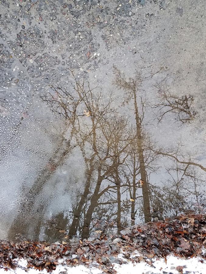 Winter Reflection Photograph by Anna Villarreal Garbis