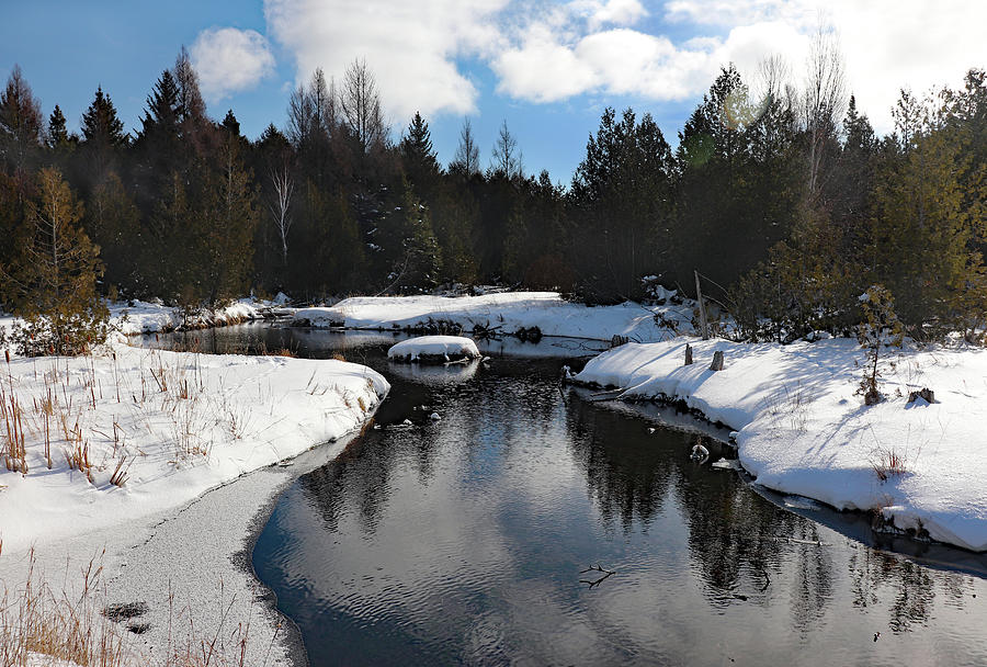 Winter Reflection at Three Springs Photograph by David T Wilkinson