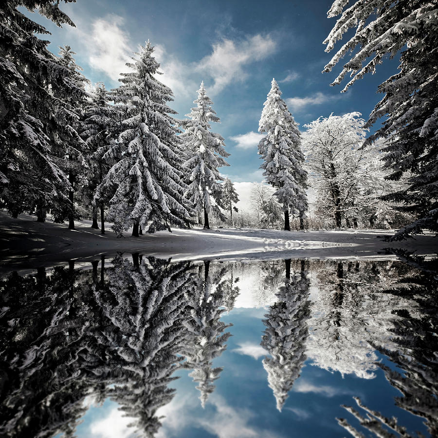 Winter Reflection Photograph by Image By Janos Radler
