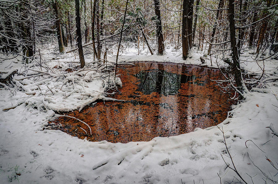 Winter Reflections Photograph by David Heilman